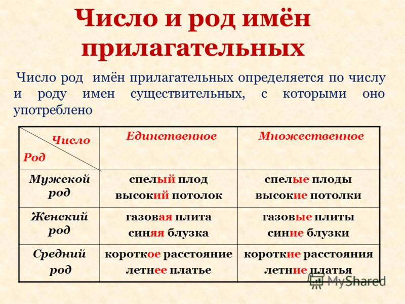 Род и число имен прилагательных 4 класс презентация